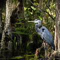Heron The Great